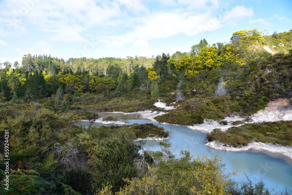 Fototapeta Geothermal activity in Rotorua, New Zealand
