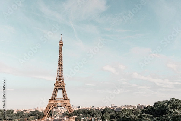 Obraz Eiffel Tower of the Paris