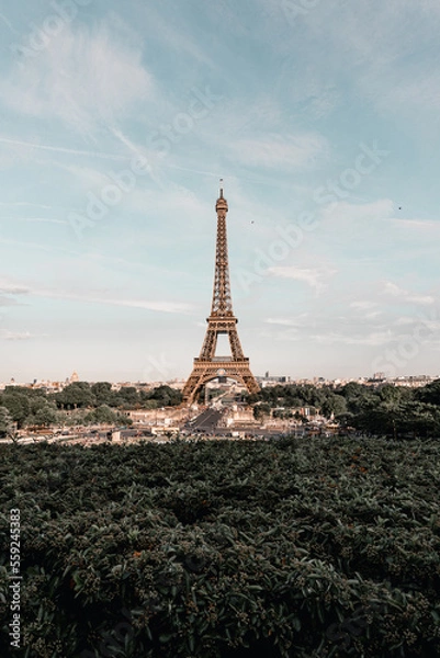 Obraz Eiffel Tower of the Paris