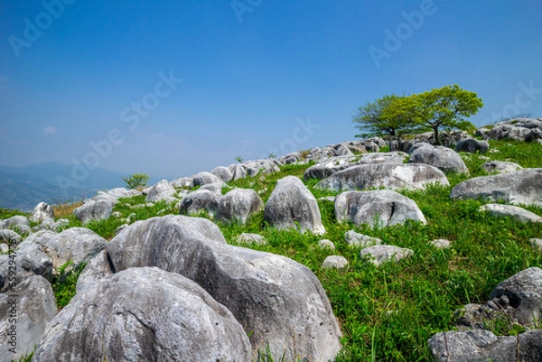 Obraz 平尾台カルスト台地、太平山の羊群原を望む