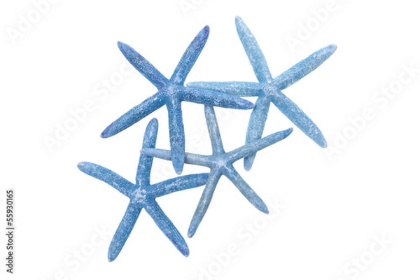 Fototapeta Pięć rozgwiazda na białym tle na białym tle