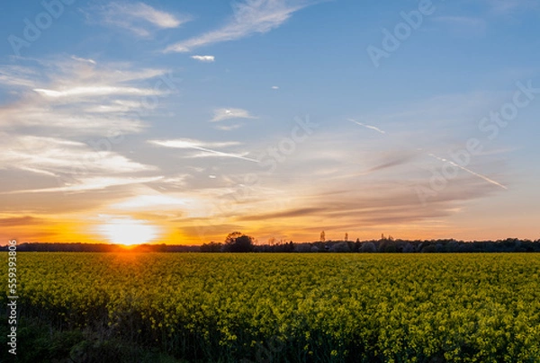 Obraz Champs et couché de soleil