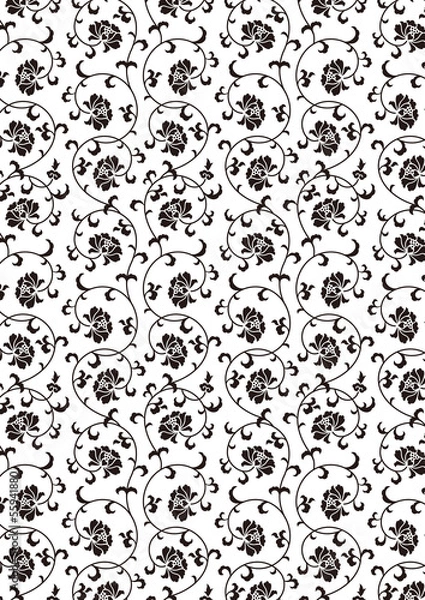 Obraz 花唐草　モノクロ