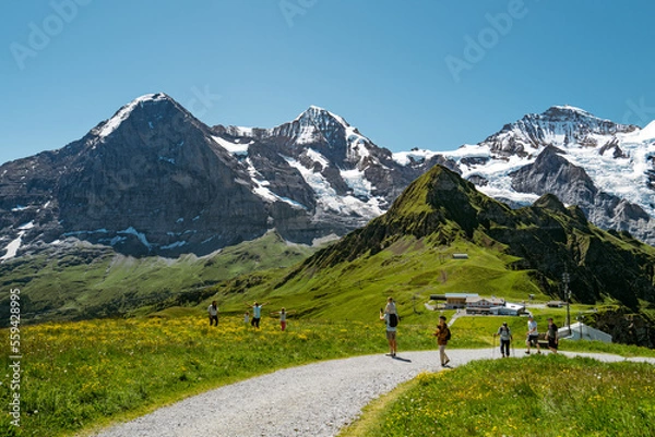 Fototapeta Scenic and sunny mountain landscape with a hikers on a path amidst alpine meadows near Männlichen, Jungfrau and Wengen in Switzerland