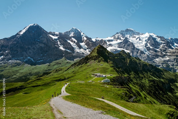 Fototapeta Scenic and sunny mountain landscape with a path crossing green alpine meadows near Jungfrau in Switzerland 