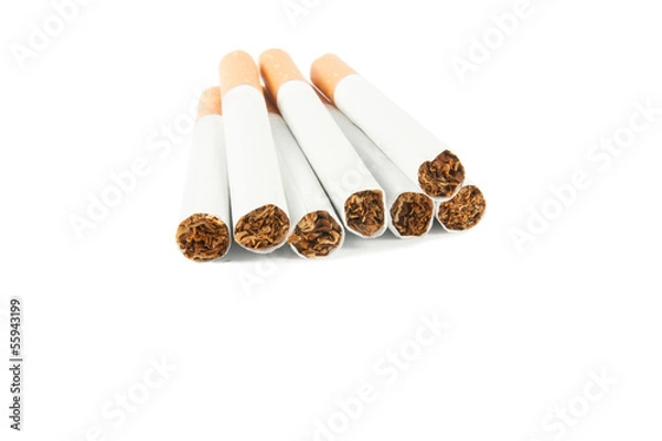 Obraz Cigarette with filter isolated on white background.