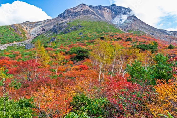 Obraz 紅葉の那須岳・茶臼岳