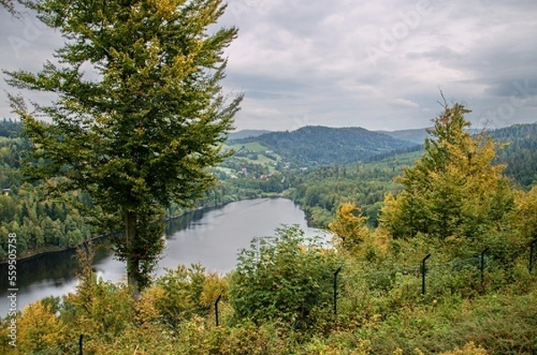 Obraz lake in the mountains