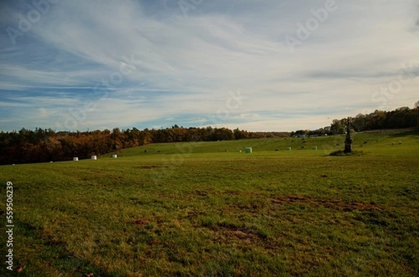 Obraz sunset over the field