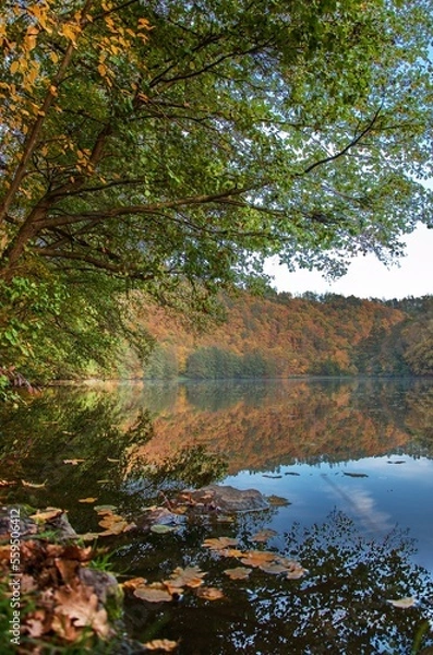 Obraz autumn reflection