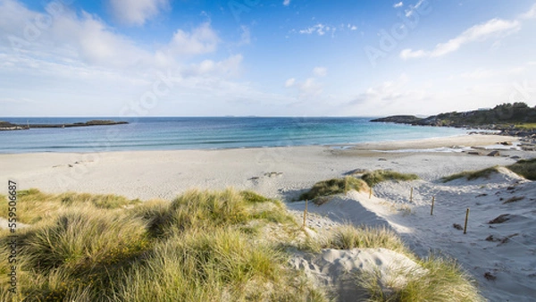 Obraz Beautiful scene on a sandy beach with dunes near Stavanger, Norway