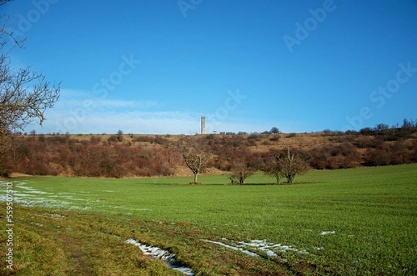 Obraz landscape with trees