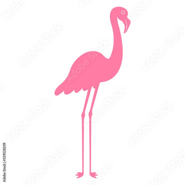 Fototapeta pink flamingo isolated on white