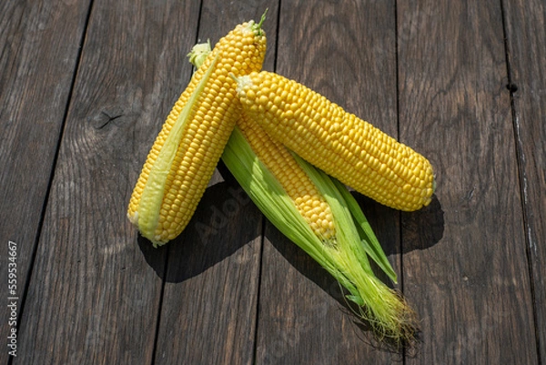 Fototapeta Fresh corn on cobs on rustic wooden table, closeup. Top view with copy space
