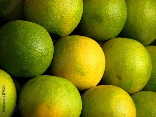 Obraz Juicy Sweetlime