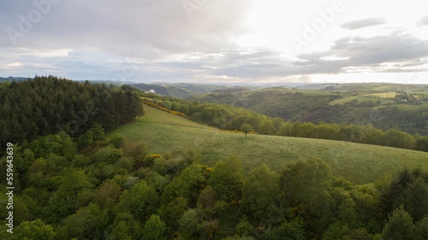 Fototapeta View of a valley with forest and hills near Conques, Aveyron, France