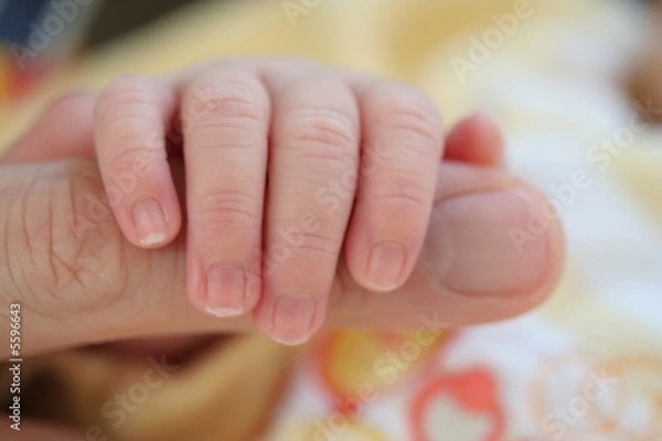 Fototapeta Vertrauen