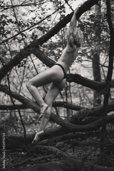 Obraz Seductive woman hanging on tree branch monochrome scenic photography. Picture of person with forest on background. High quality wallpaper. Photo concept for ads, travel blog, magazine, article