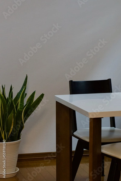 Fototapeta リビングの観葉植物