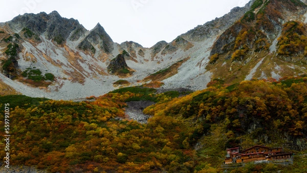 Fototapeta 山岳と紅葉