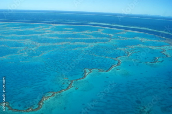 Fototapeta grande barrière de corail