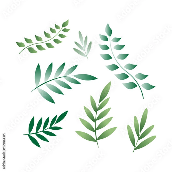 Obraz 0901 Flat style vector leaves