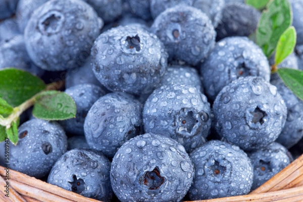 Fototapeta blueberry in close up