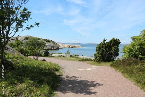 Fototapeta Path at Stora Amundön island in Gothenburg, Sweden
