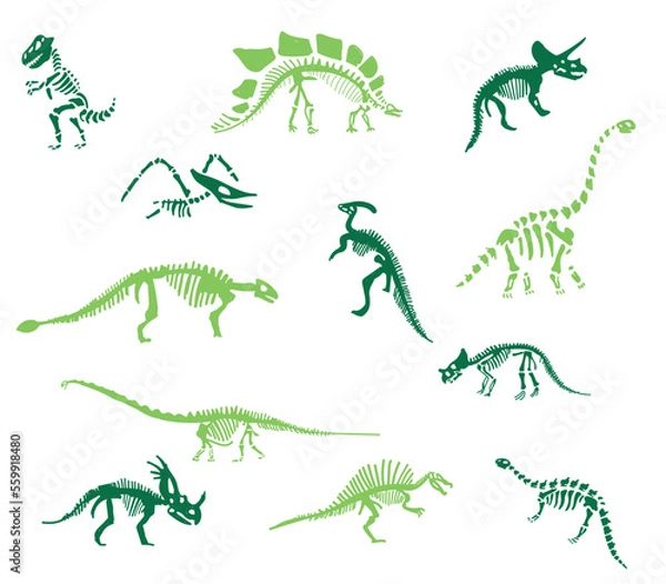 Fototapeta Dinosaur skeleton set diplodocus, triceratops, t-rex, stegosaurus, parasaurolophus etc.