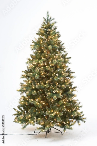 Obraz Christmas tree