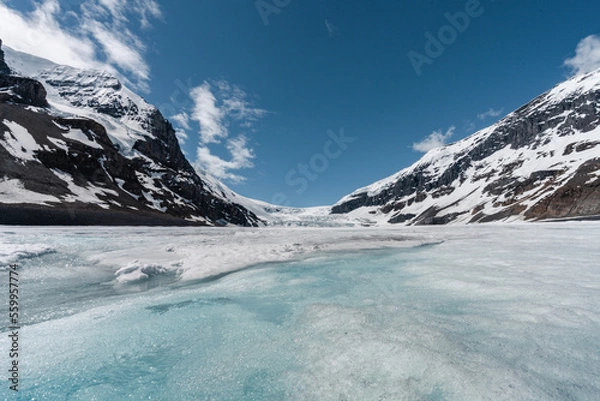 Fototapeta Athabasca