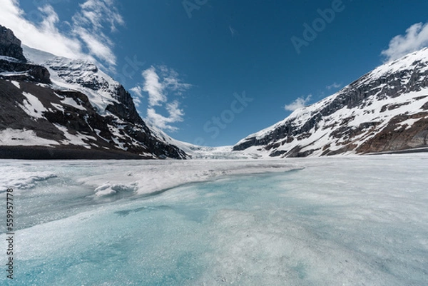 Fototapeta Athabasca