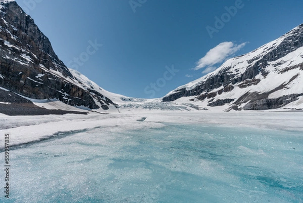 Fototapeta Athabasca