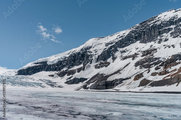 Fototapeta Athabasca
