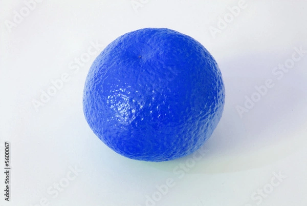 Obraz clementine bleue