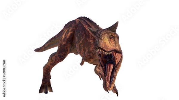 Fototapeta Carnotaurus dinosaur roaring on a blank background PNG ultra high resolution