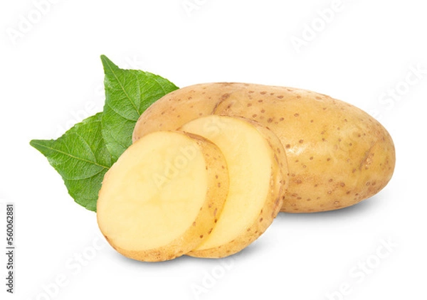 Obraz potato isolated on white background