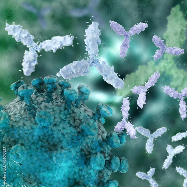 Obraz Virus mit Antikörper - 3d Render