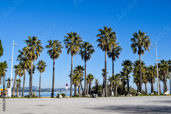 Obraz Beach Cogolin France with palm trees