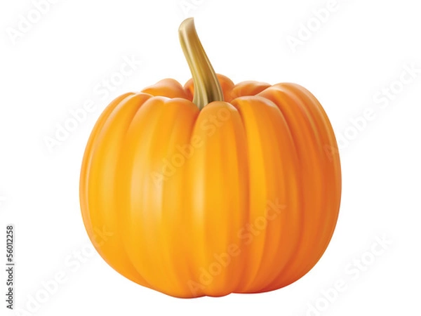 Obraz pumpkin