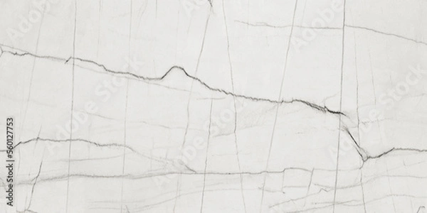 Fototapeta White marble texture background with grey curly vines. White marble stone granite with bluish grey tonality. Quartz crystal granite for interior floors and walls as well as kitchen interior décor. 