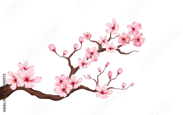 Obraz Branch Blossom z kwiatem Sakura. Białe tło Sakura. Away Cherry Bud. kwitnienie kwiatu wiśni. Wektor Pink Sakura Flower Tło. akwarela wiśniowa wektor