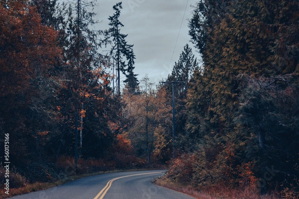 Obraz Road in autumn