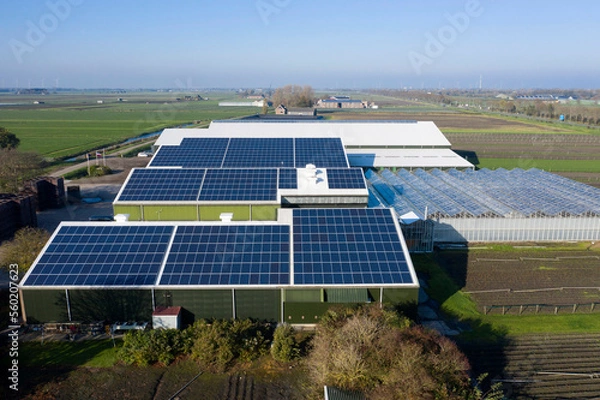 Obraz Flower bulb company with solar panels in a row on a roof. Photo taken with a drone.
Photovoltaic modules for renewable energy.Save the earth and the energy with good environment concept.
