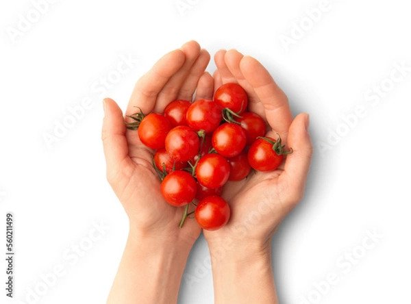 Fototapeta Cherry tomatoes in hands on a white background close-up top view.