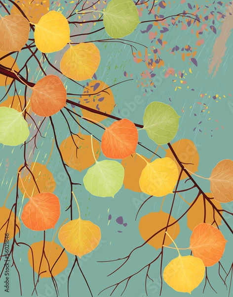 Fototapeta Aspen tree branch with autumn leaves
