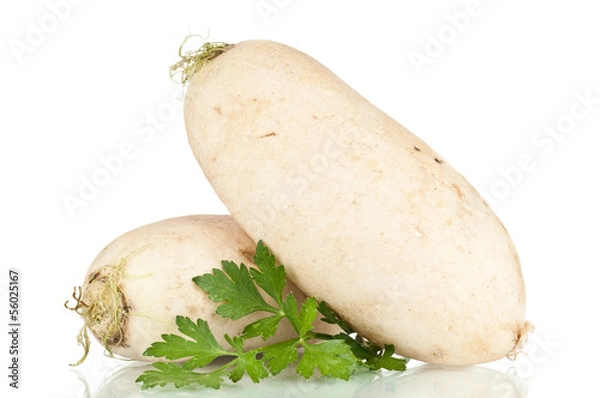 Obraz Turnip over a white reflective background