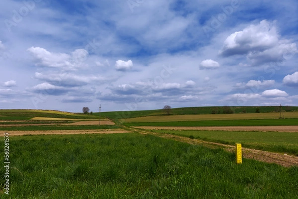Obraz landscape with sky