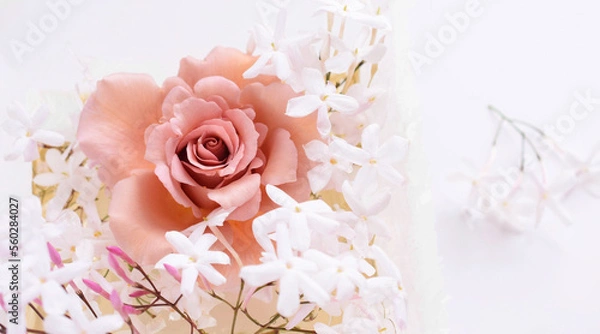 Fototapeta 室内の薔薇とジャスミンの花、バラの花のインテリア、フレーム、バナー素材、白背景