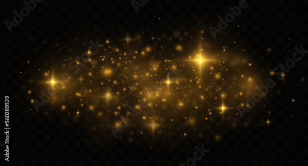 Obraz Golden shiny light effect. Sparkling magical dust particles. 